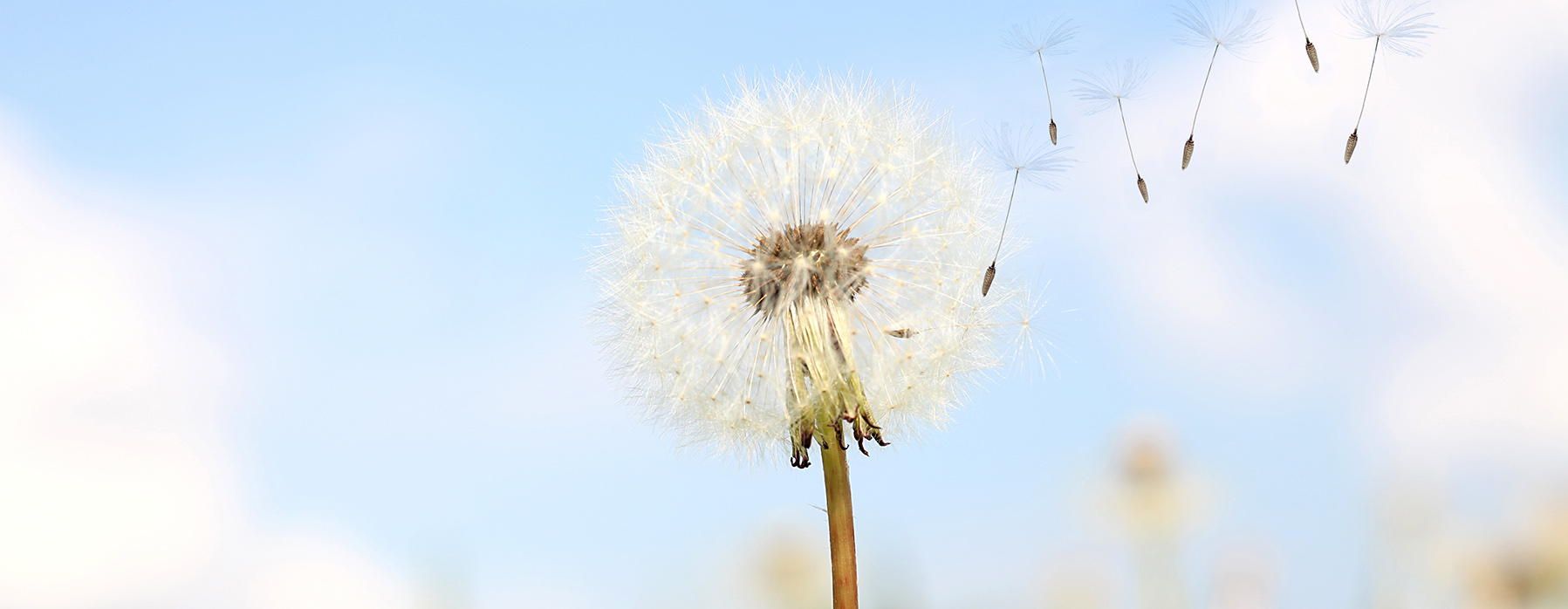 Dezentrale Wohnraumlüftung